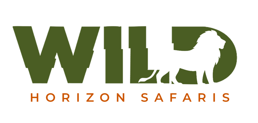 MAIN LOGO transparent